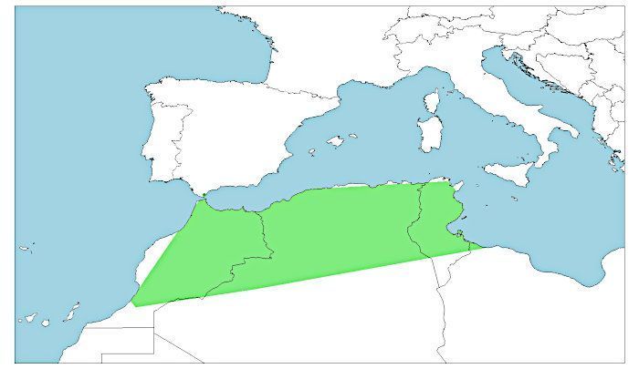 Distribución del sapo moruno