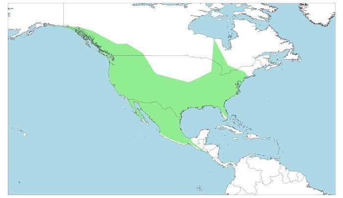 Distribución del colibrí rufo, Selasphorus rufus