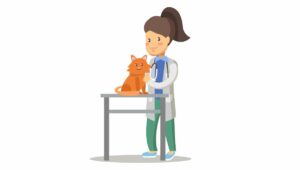Enfermedades de la piel en gatos y su desafío diagnóstico