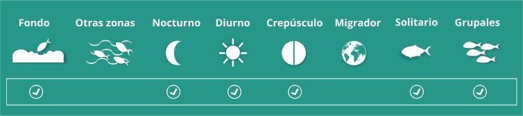 hábitos y comportamiento del black bass, Micropterus salmoides