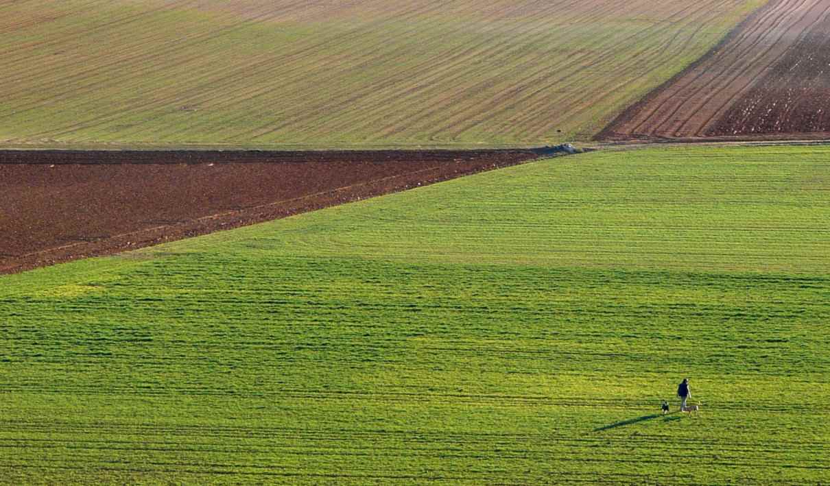 Control de plagas agrícolas usando invertebrados