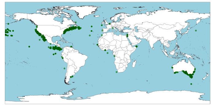 Distribución de Delphinus delphis