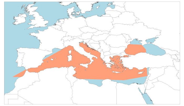 Distribución de la lagartina, Parablennius sanguinolentus