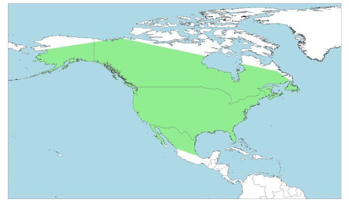 Distribución del águila calva, Haliaeetus leucocephalus