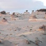 Sobrepastoreo, concepto, causas y consecuencias más relevantes sobrepastoreo