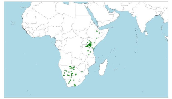 Localización de Otocyon megalotis