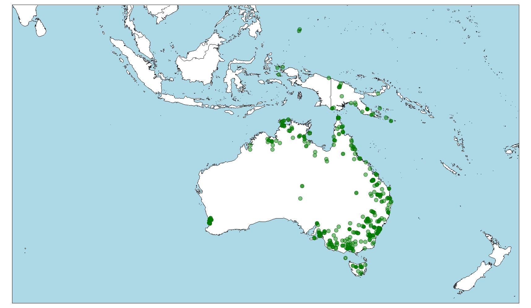 Distribución de cacatúa galerita