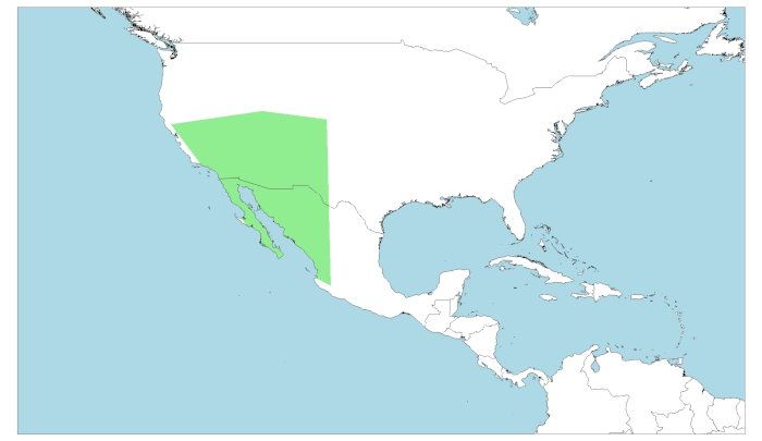 Distribución de la iguana del desierto