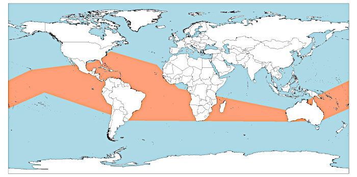 Distribución del dragón azul (Glaucus atlanticus)