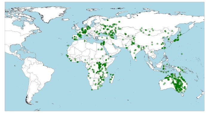 Distribución del milano negro, Milvus migrans