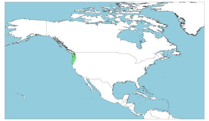 Distribución de la salamandra olímpica, Rhyacotriton olympicus