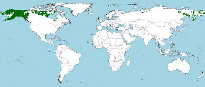 Distribución del suslic ártico, Urocitellus parryii