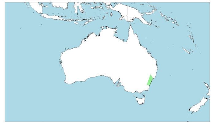 Distribución de la araña de Sídney, Atrax robustus