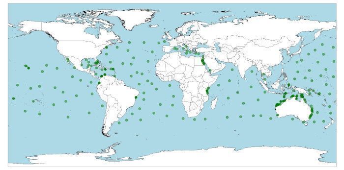 Distribución de la tortuga carey