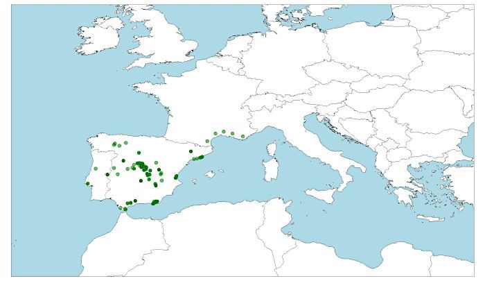 Distribución de lagartija cenicienta