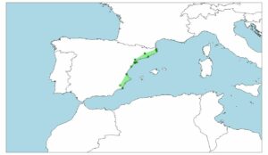 Fartet, Aphanius Iberus, un pez que ha perdido parte de su hábitat