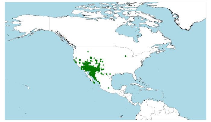 Distribución del colín de Gambel