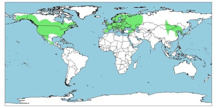 Distribución del azor, 
Accipiter gentilis