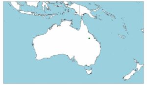 Wombat de nariz peluda del norte, Lasiorhinus krefftii