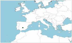 Pardilla oretana, Iberochondrostoma oretanum, un pez poco investigado