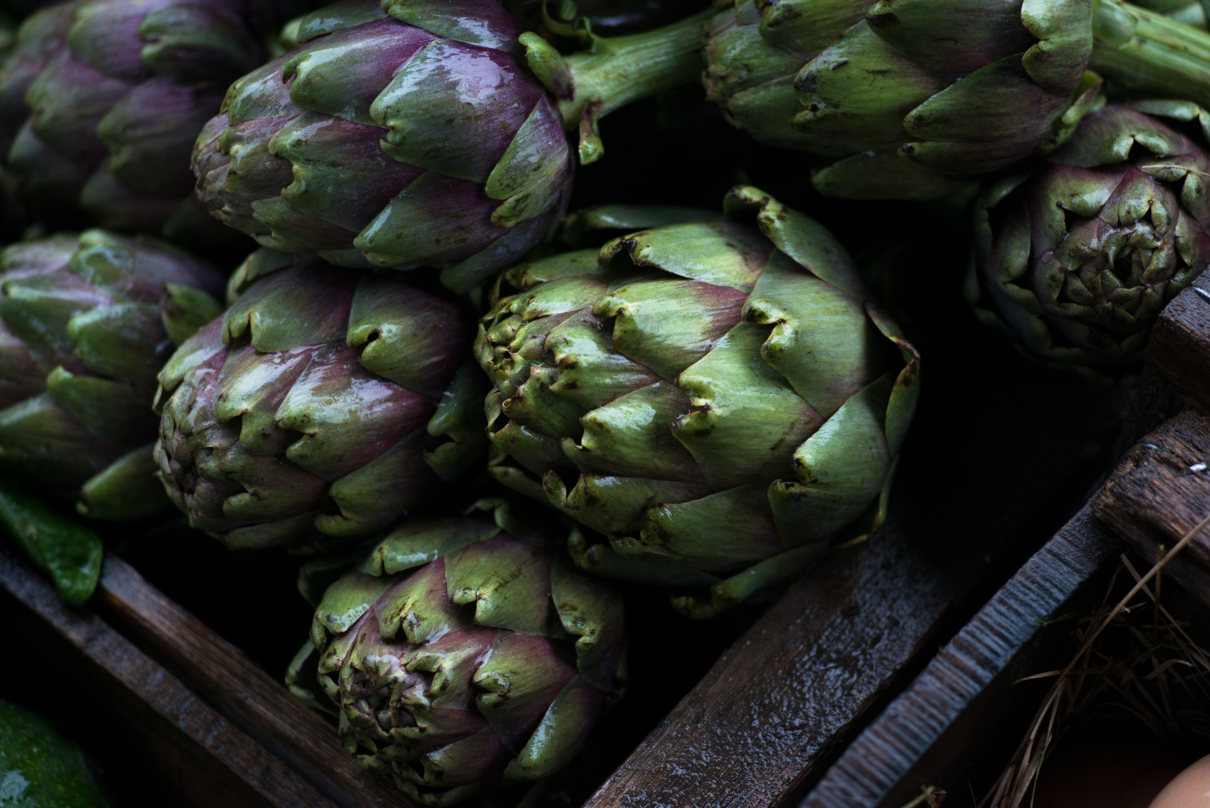 Alcachofa, Cynara scolymus