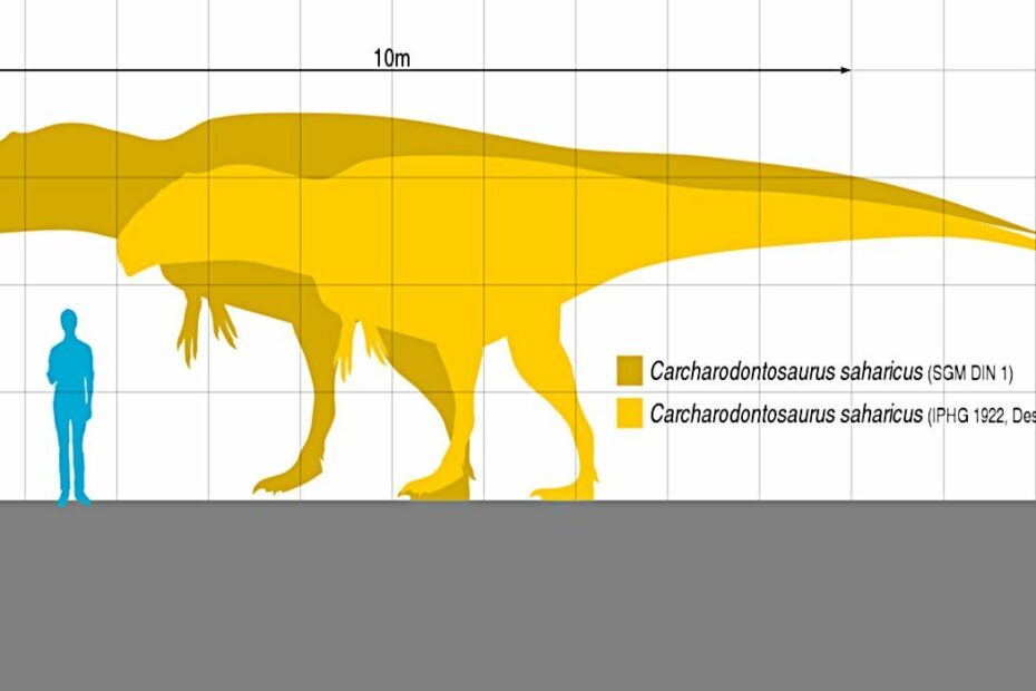 Especies de dinosaurios - Animales y biología