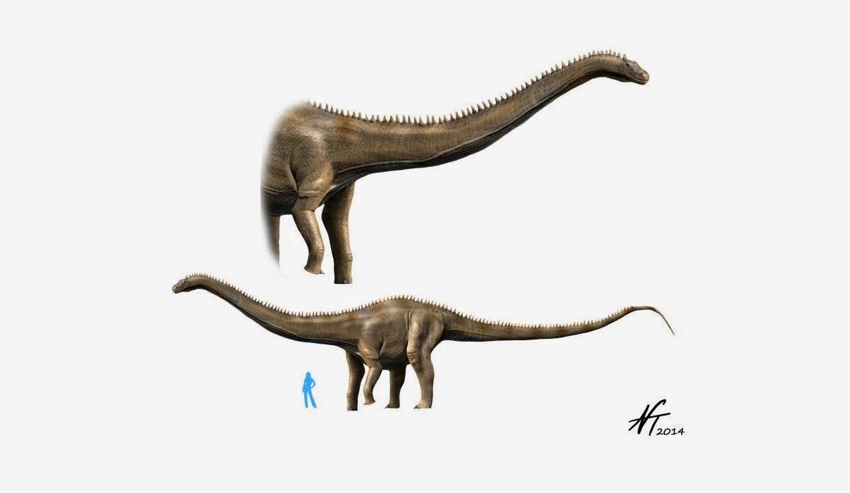 Los dinosaurios de mayor tamaño del mundo eran los dueños de la Tierra