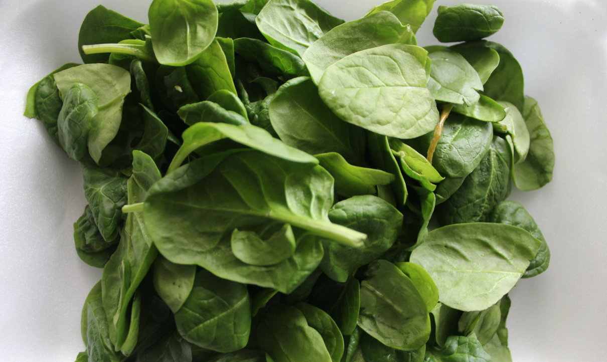 Espinaca, Spinacia oleracea