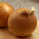 cebolla-allium-cepa