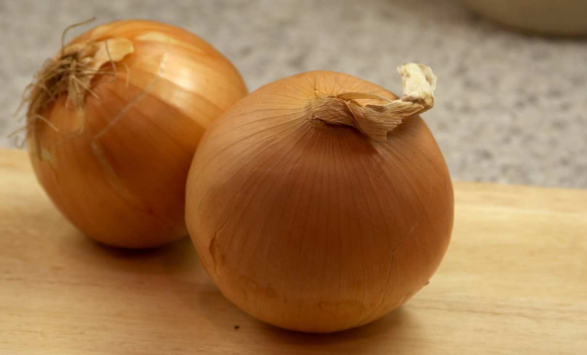 Cebolla, Allium cepa