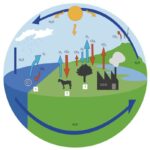 ciclos-biogeoquimicos