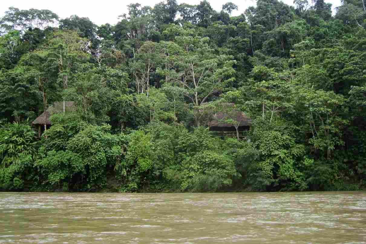 Amazonas, Amazonia