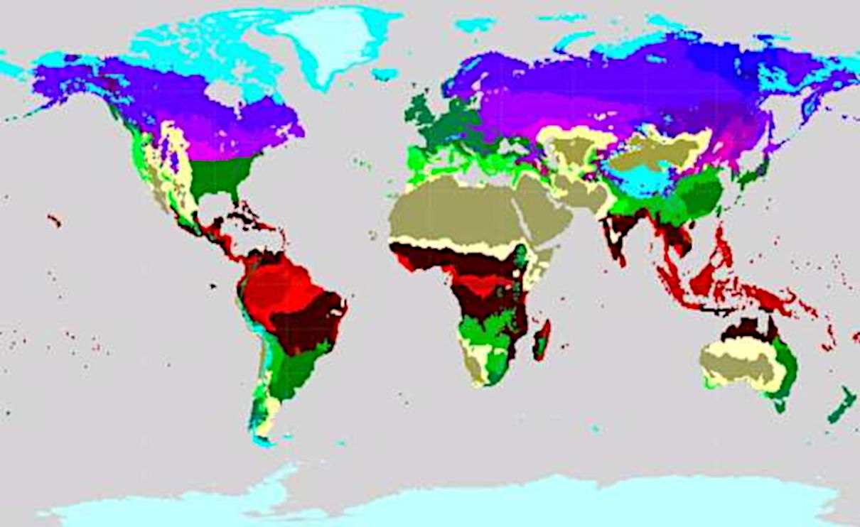 Tipos de clima según clasificación de Köppen