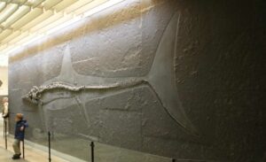 Dinosaurios marinos: gigantescos titanes de las aguas