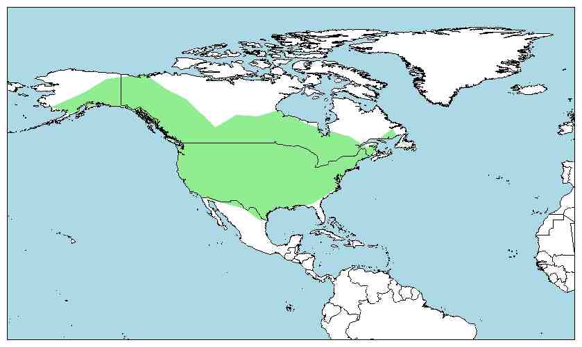 Distribución del castor americano, Castor canadensis