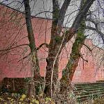 el-hombre-y-los-conflictos-medioambientales