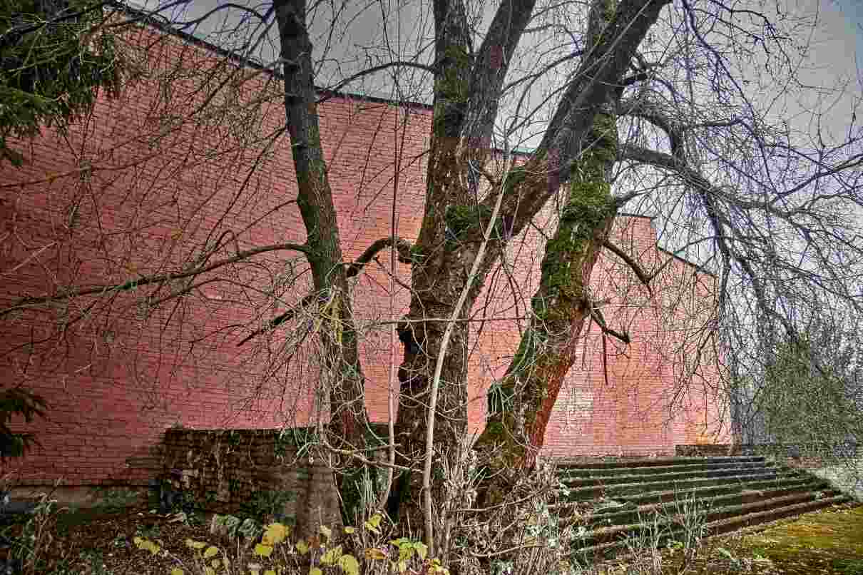 El hombre y los conflictos medioambientales