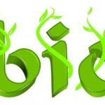 importancia-de-los-productos-ecologicos