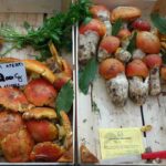 amanita-caesarea-huevo-de-rey-oronja