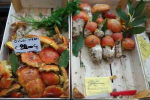 Amanita caesarea, huevo de rey u oronja. Características, hábitat, usos gastronómicos, reproducción, confusiones