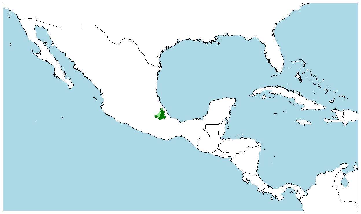 Localización, distribución geográfica de  la salamandra pigmea veracruzana , Thorius pennatulus 