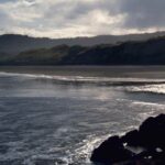 Pérdida de biodiversidad ¿Qué es? Causas y consecuencias perdida-de-la-biodiverdad-ecologia