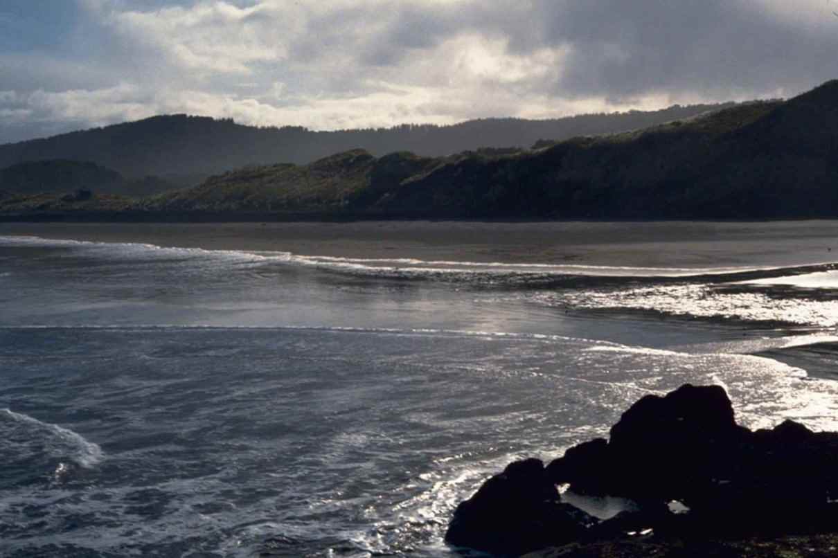 Ecología, pérdida de la biodiversidad