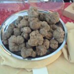 tuber-magnatum-trufa-blanca