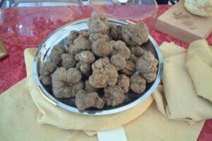 Trufa blanca (Tuber magnatum): características, hábitat y distribución