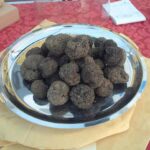 tuber-melanosporum-trufa-negra