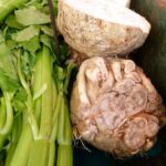 apio-apium-graveolens