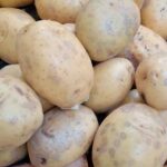 patata-solanum-tuberosum