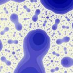 comportamiento-de-las-bacterias