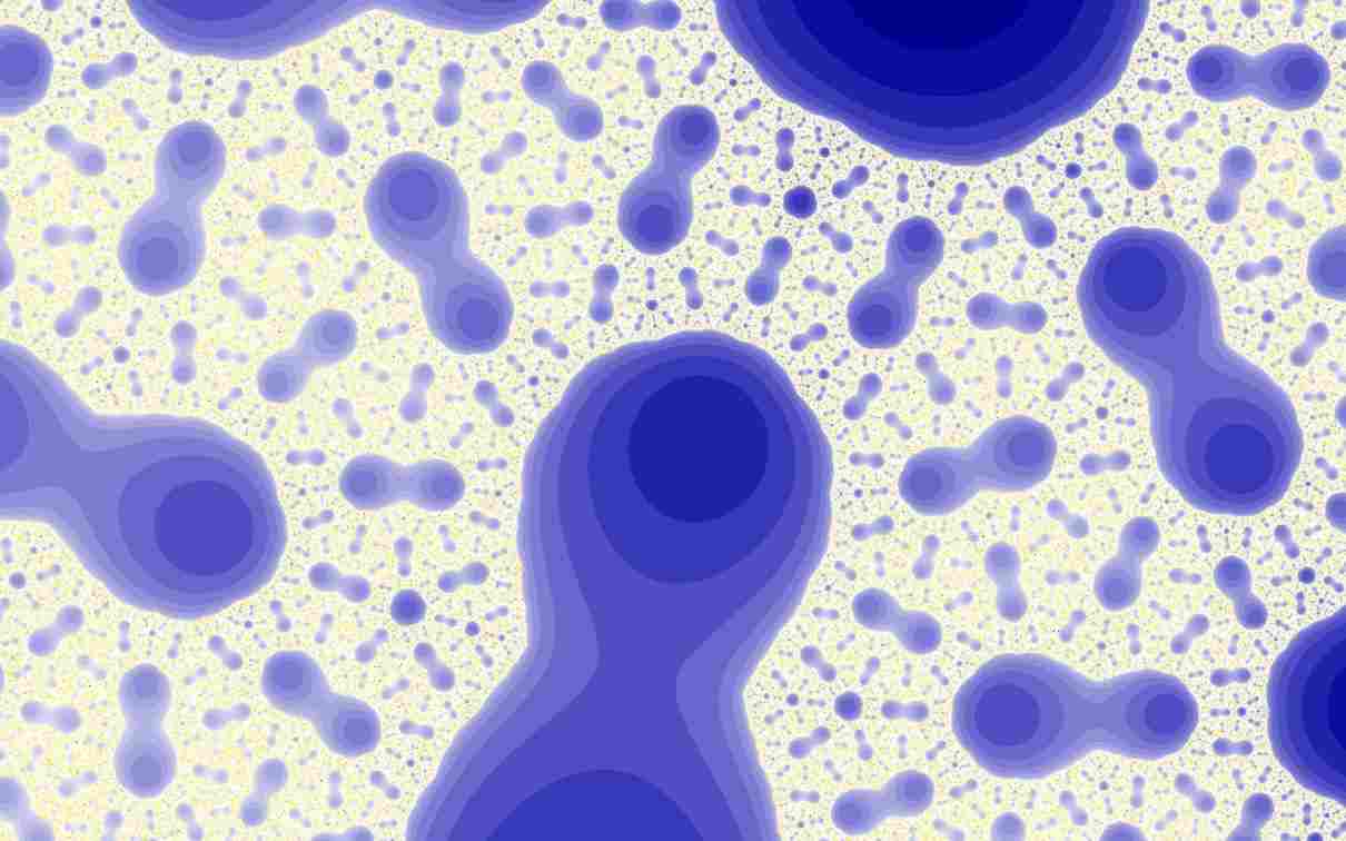 Comportamiento de las bacterias